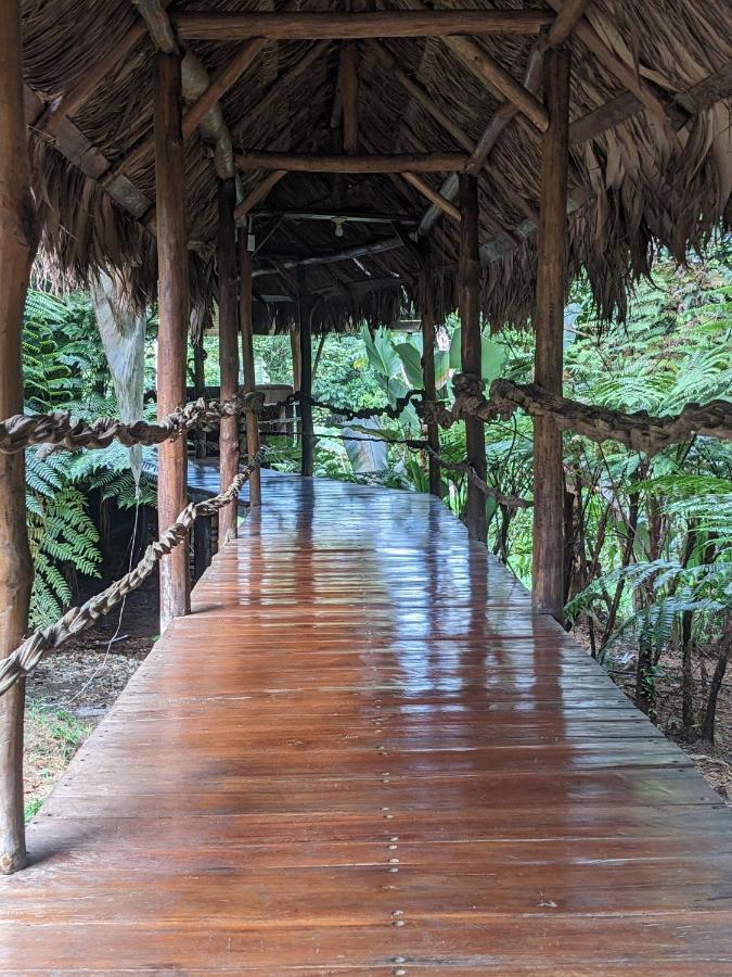 Отель Corcovado Mountain House Драке Экстерьер фото