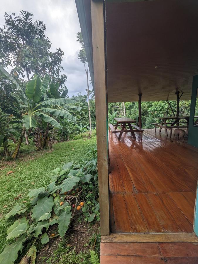 Отель Corcovado Mountain House Драке Экстерьер фото
