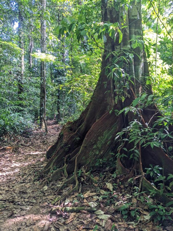 Отель Corcovado Mountain House Драке Экстерьер фото