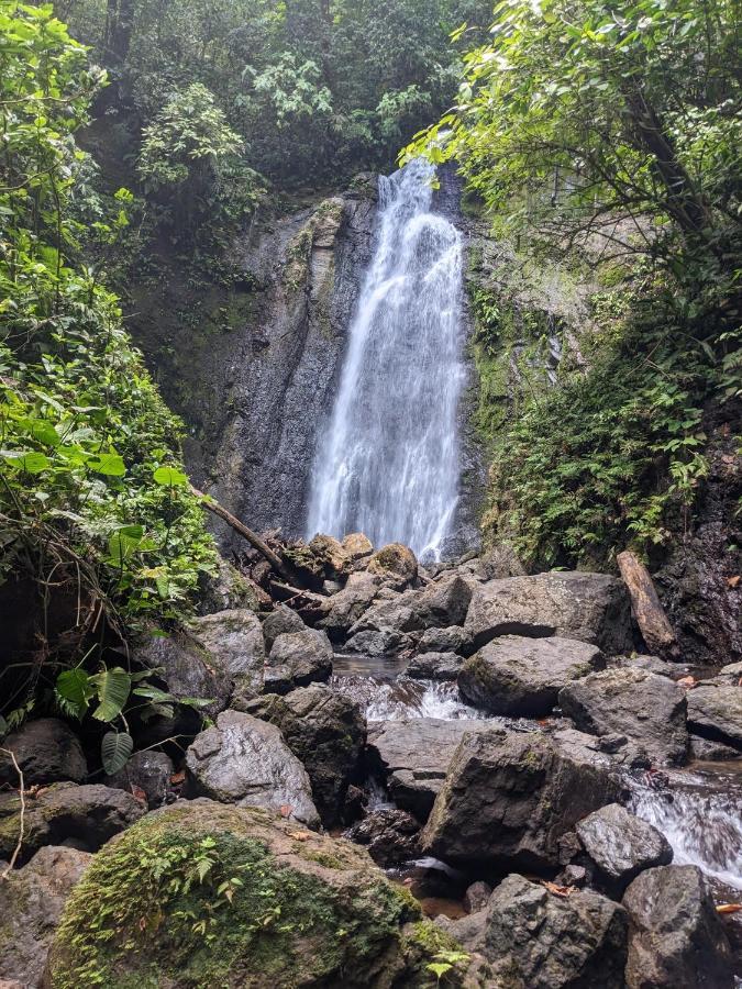 Отель Corcovado Mountain House Драке Экстерьер фото